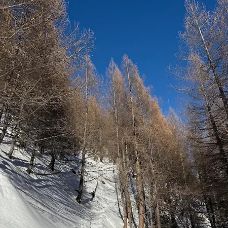 Allalin View * Saas Fee