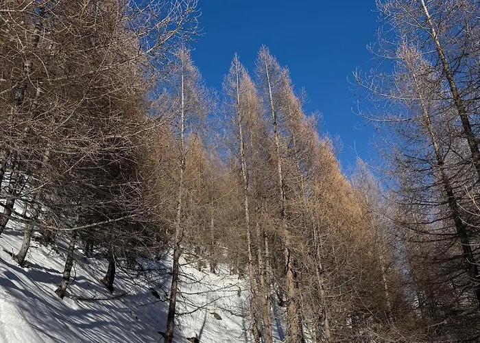 Allalin View * Saas-Fee